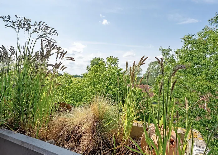 Berolina 301 ダーメ